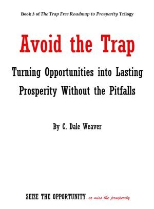 Book Cover 3 - mockup - revision 1